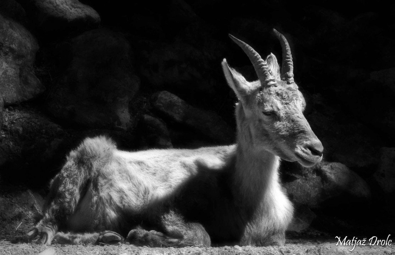 Ne mot me! by Matjaz Drolc