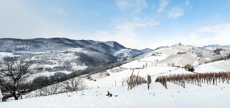 Zimska pravljica by Alen Žgalin