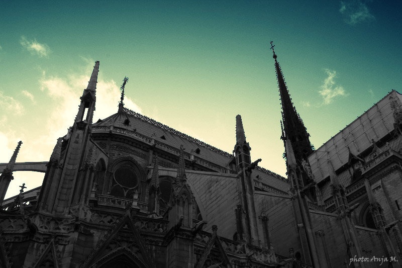 Notre Dame II. by Anja Matko