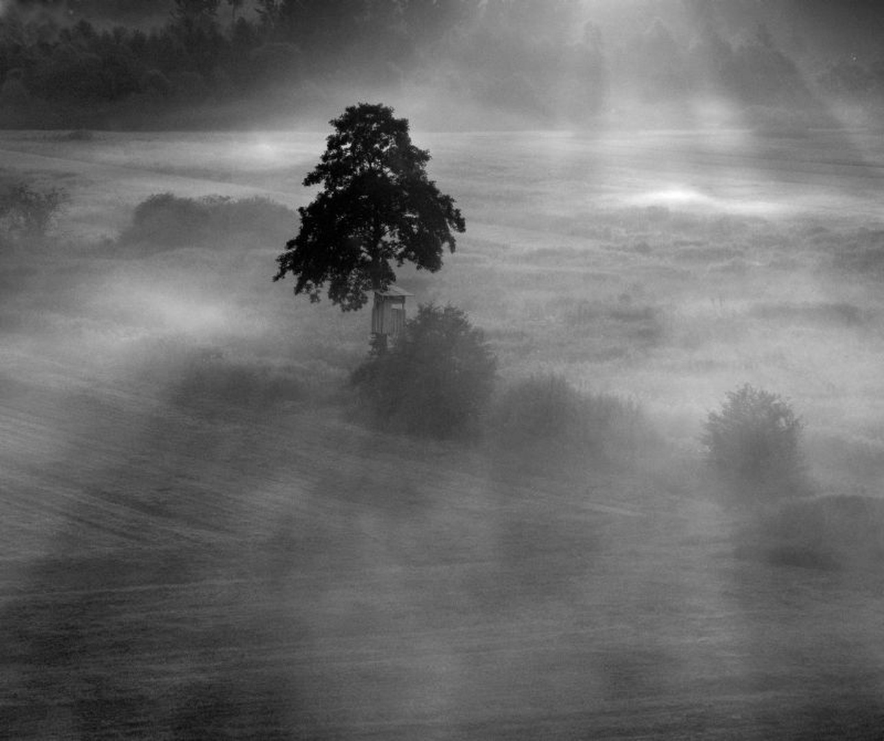 Atmosfera by Tomaž B