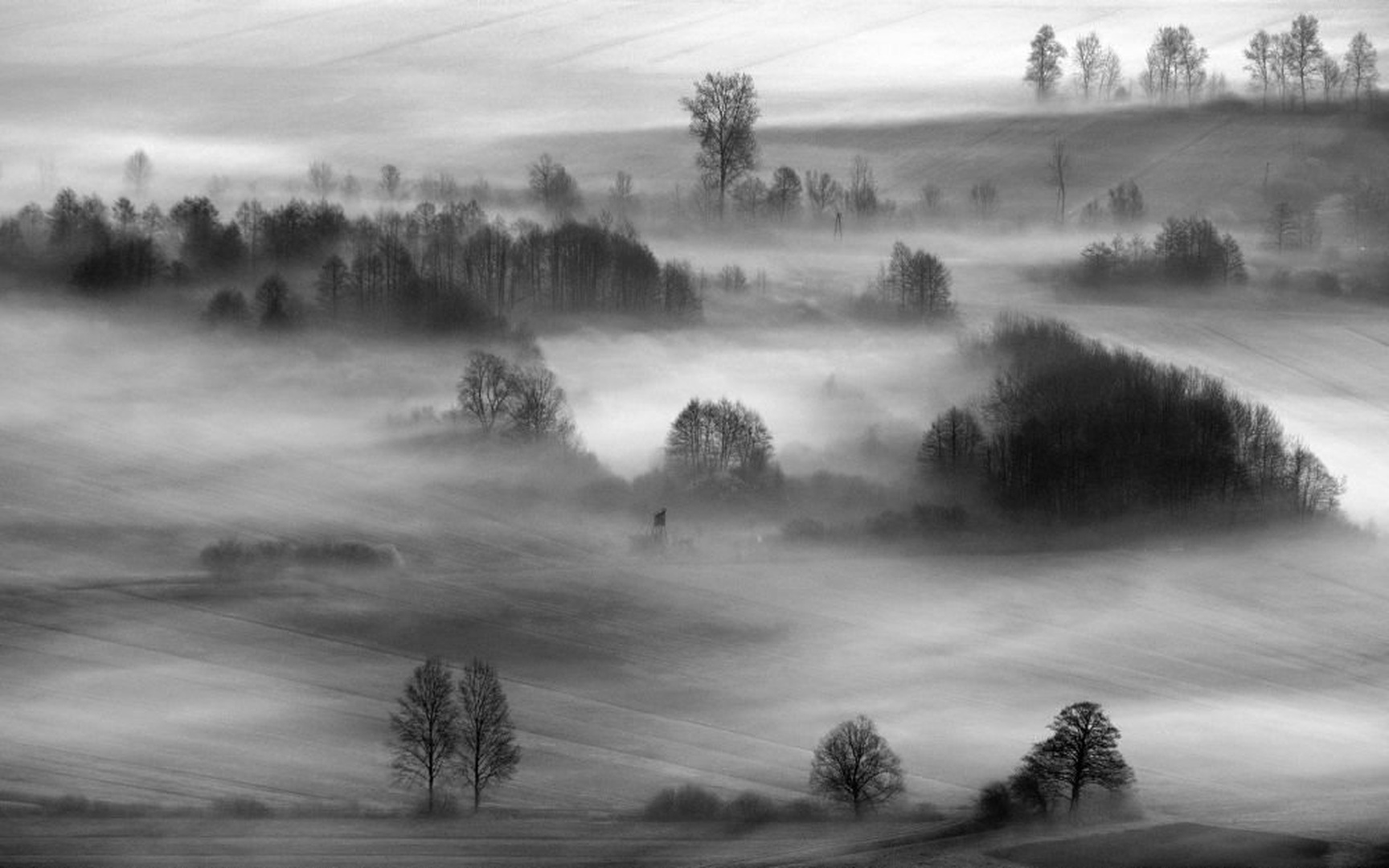 Barjanske meglice by Tomaž B
