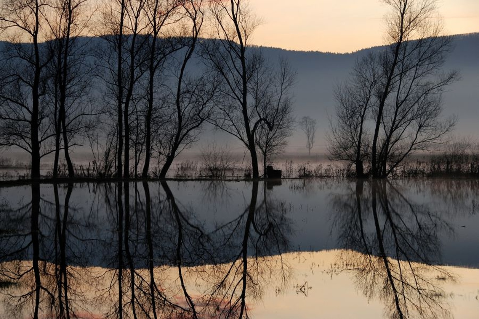 Refleksije by Tomaž B