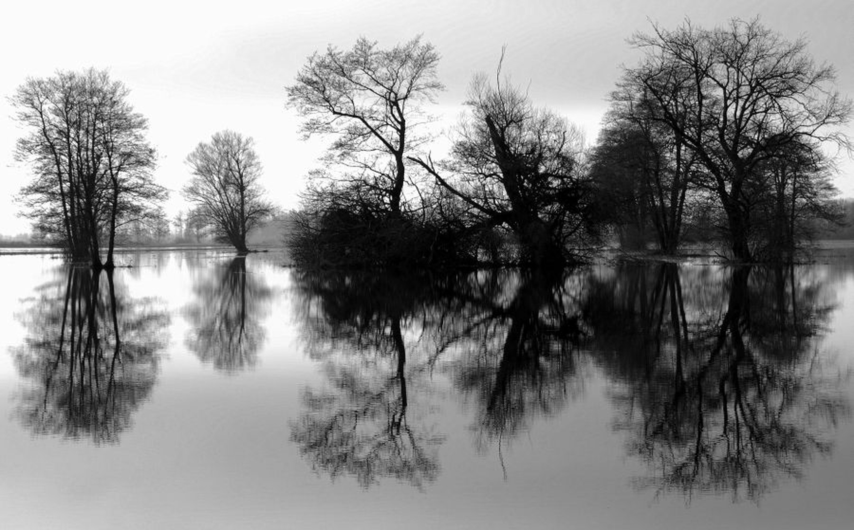Refleksije by Tomaž B