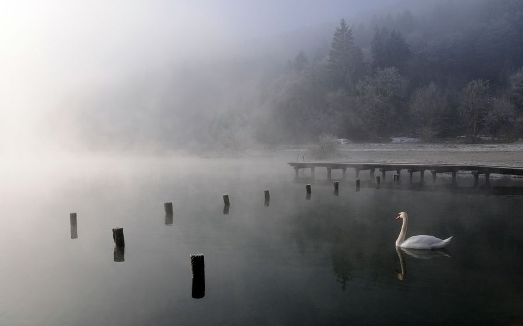 Jutro na Jezeru by Tomaž B