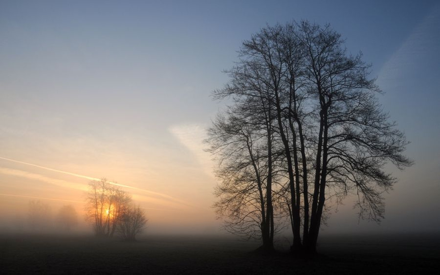 Barjansko jutro by Tomaž B