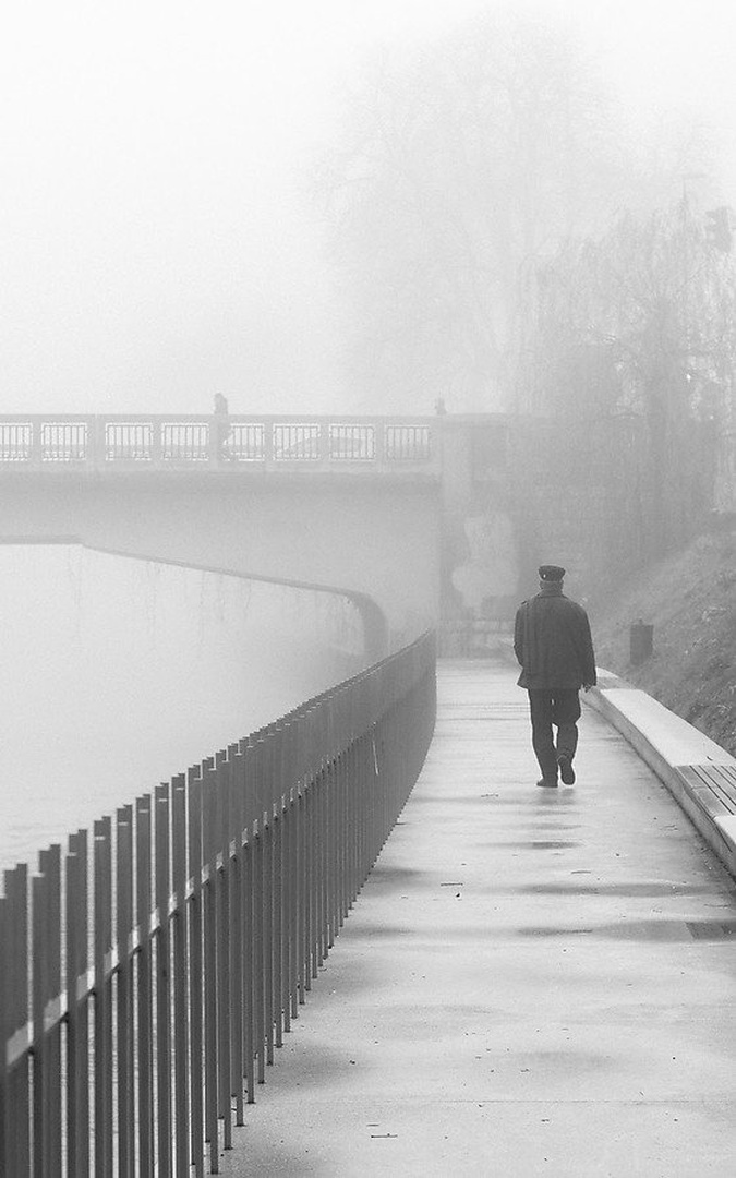 Megleno jutro by Luka Svetic