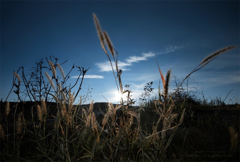 And the sun is going down by dean pellizer