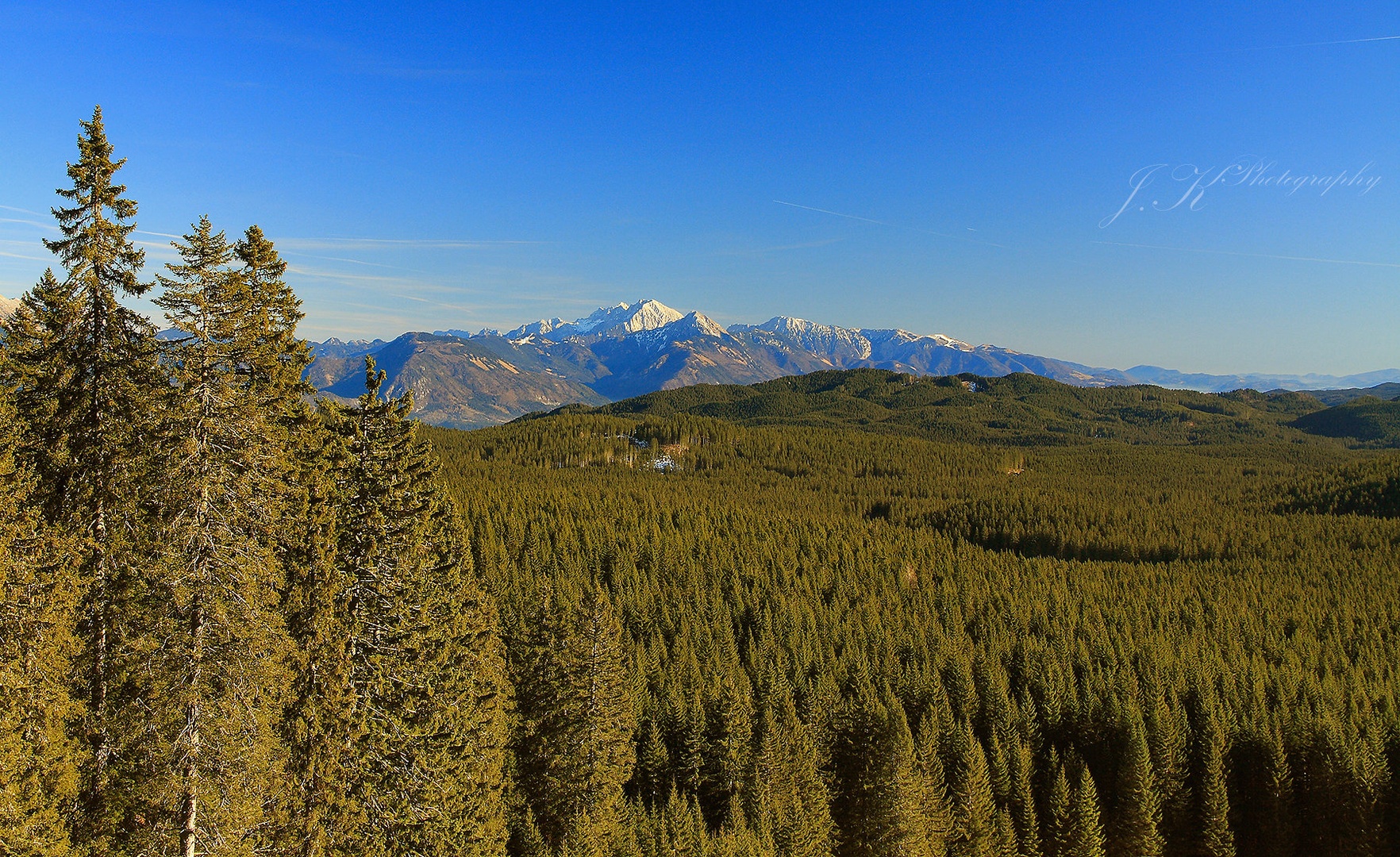Pokljuka by Kristjan