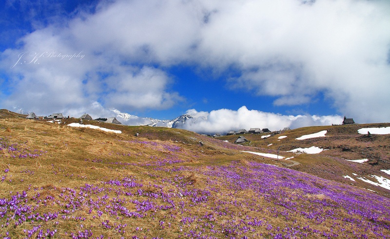 Velika Planina I by Kristjan