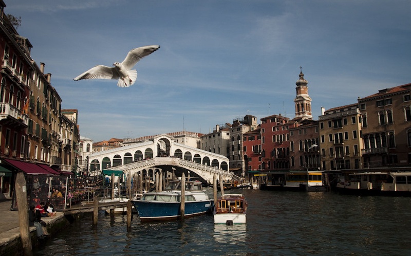 Ponte Rialto by Tine Ravnikar