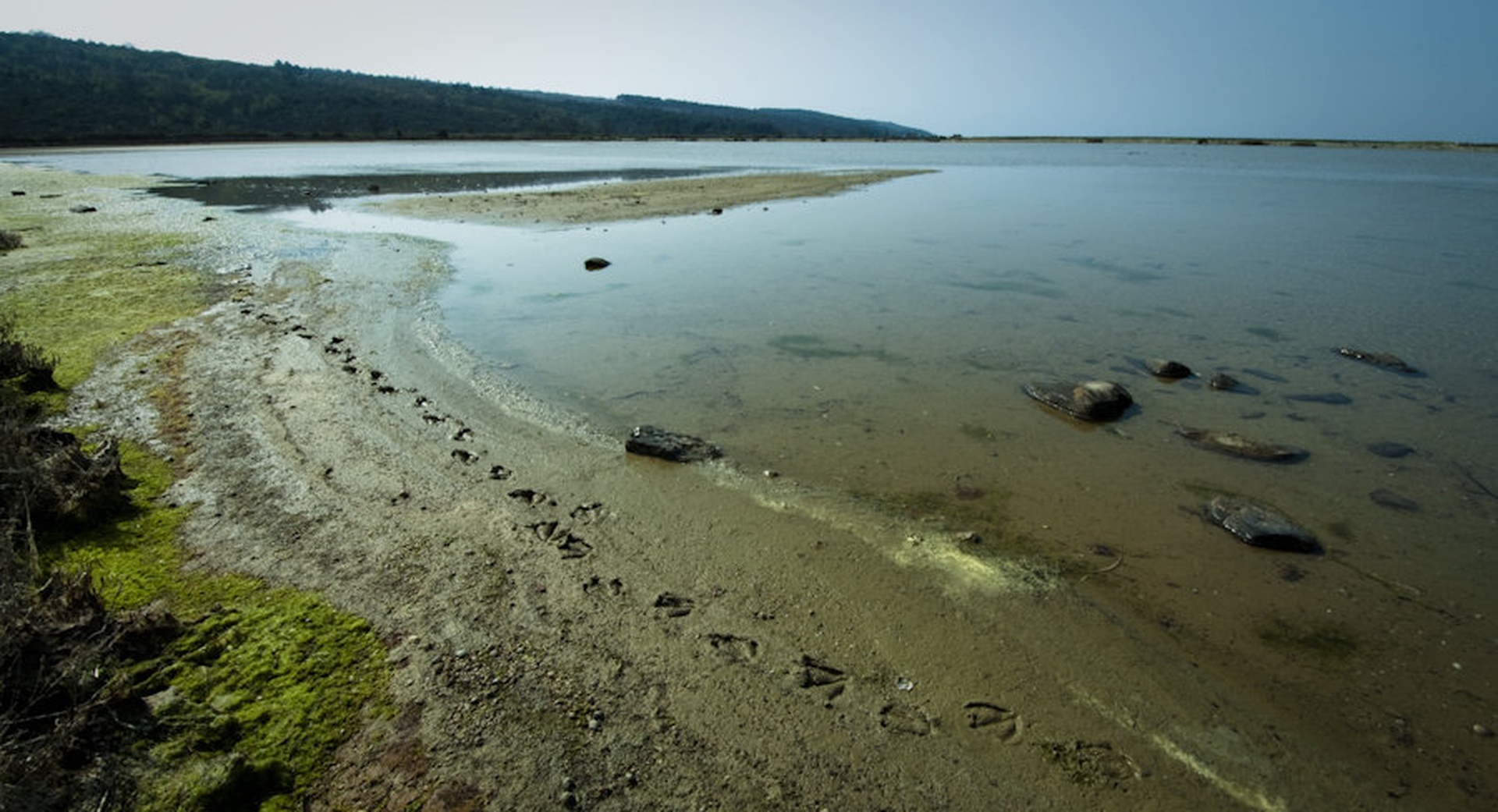 Cap cap cap po blatu by Tine Ravnikar