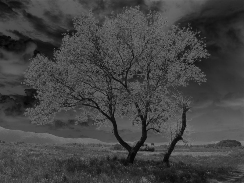 Apokalipsa by jurezid
