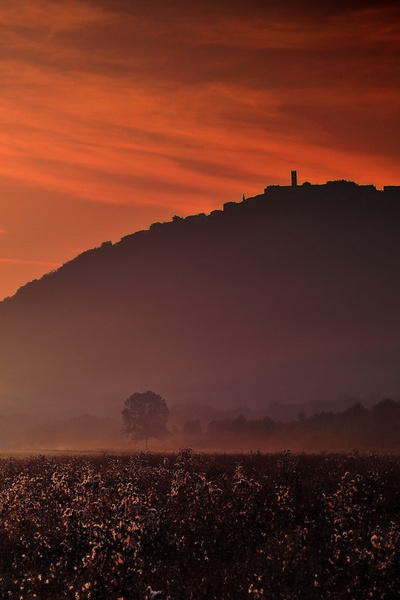 Motovun rising from a morning mist by Aleksandar Savic