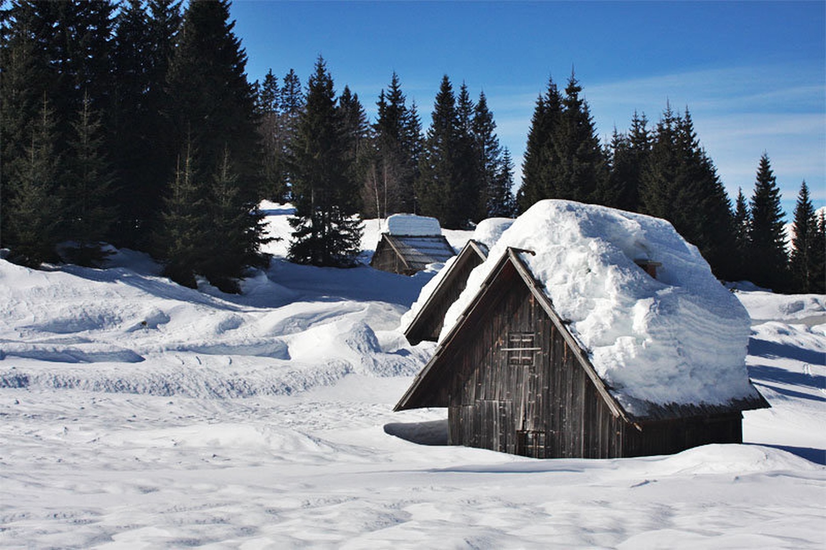 Pokljuka by Simon