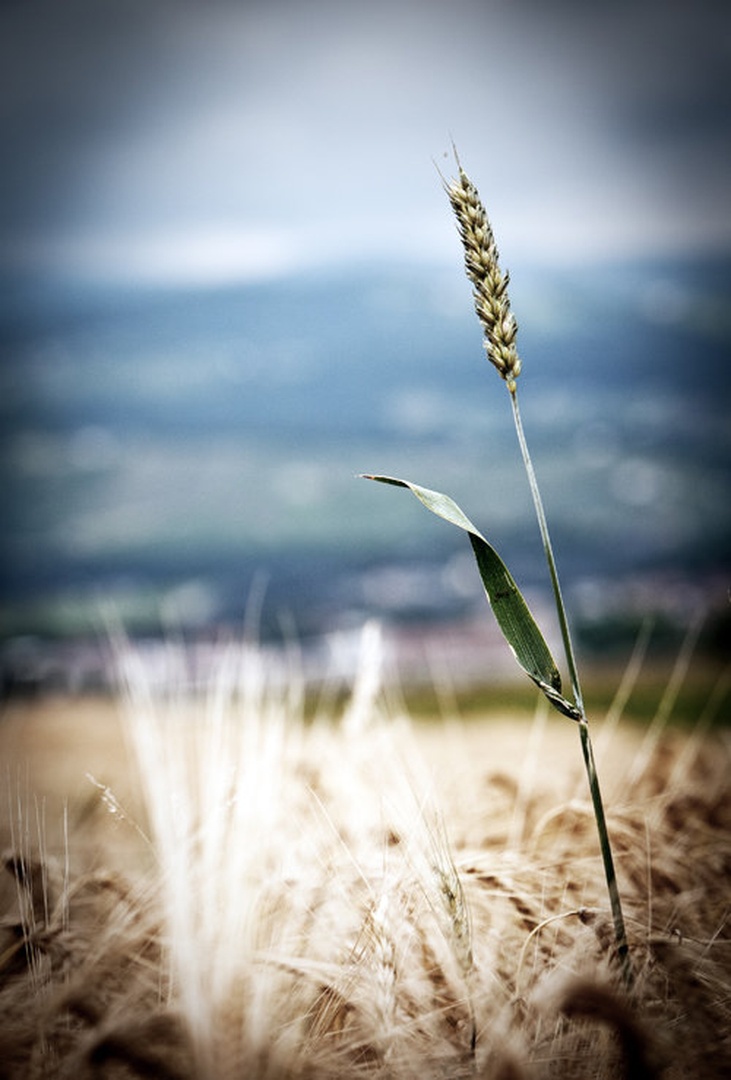 * by Grega Krajnčič
