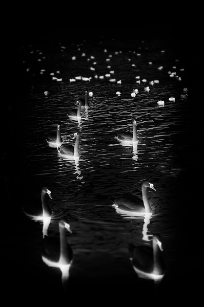 floating lanterns by nomisiti