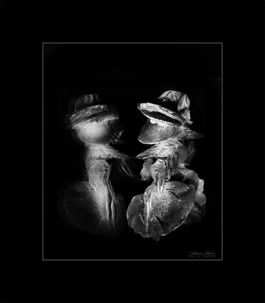 Dancing Couple by nomisiti