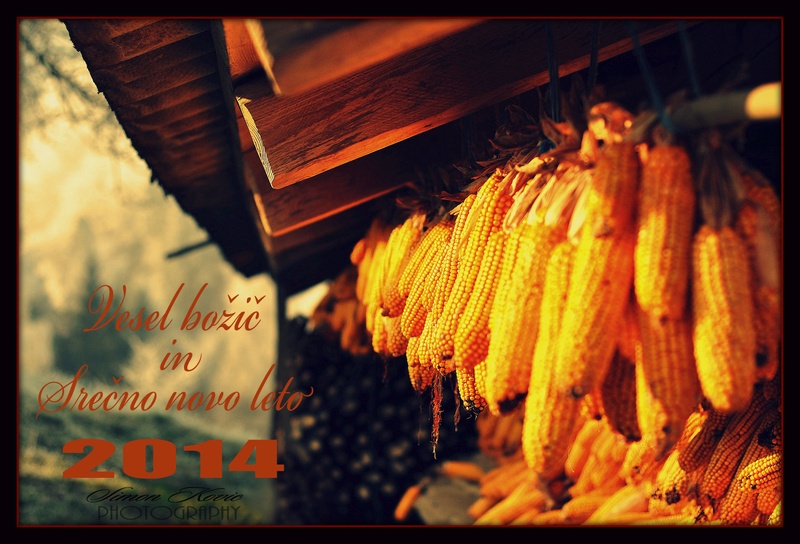SREČNO 2014 :) by nomisiti