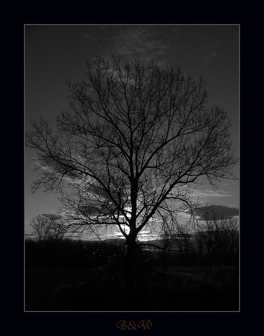 B&W by