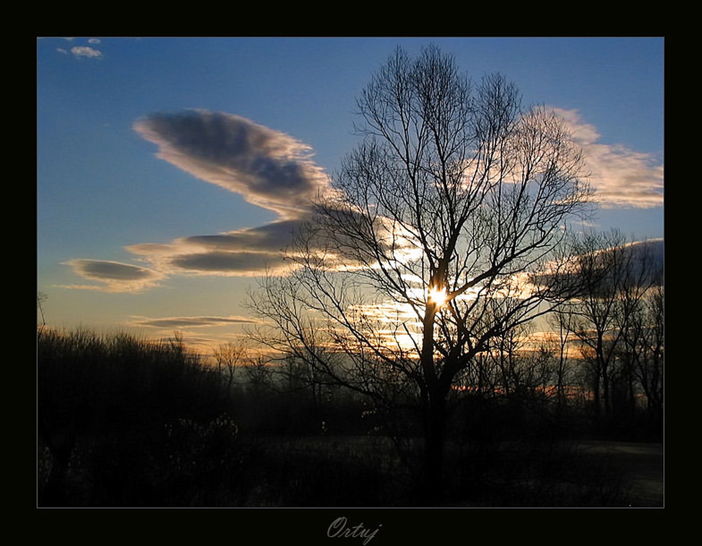 Ortuj by