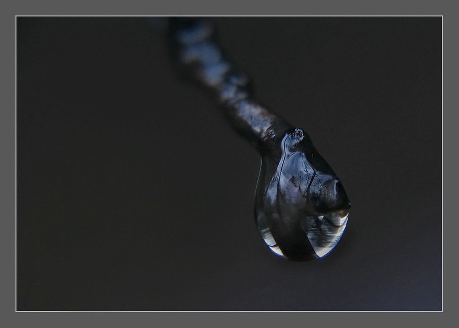 Drobna zgodbica by