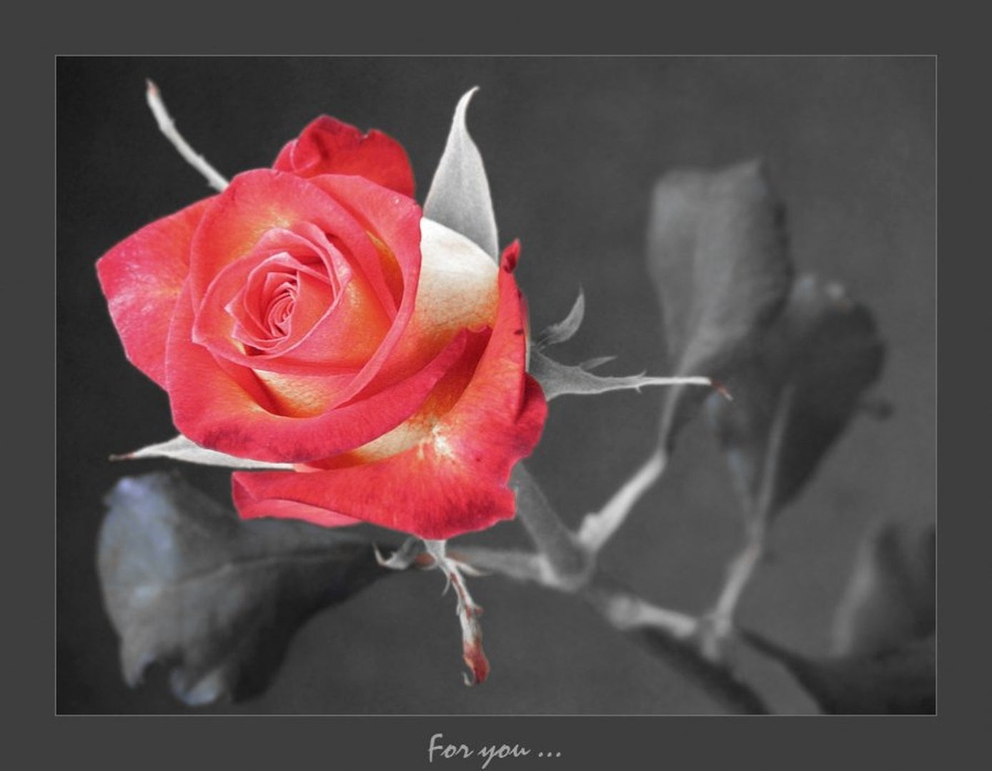 For you ... by