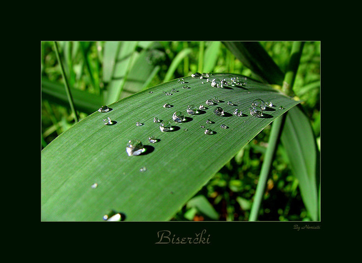Biserčki by