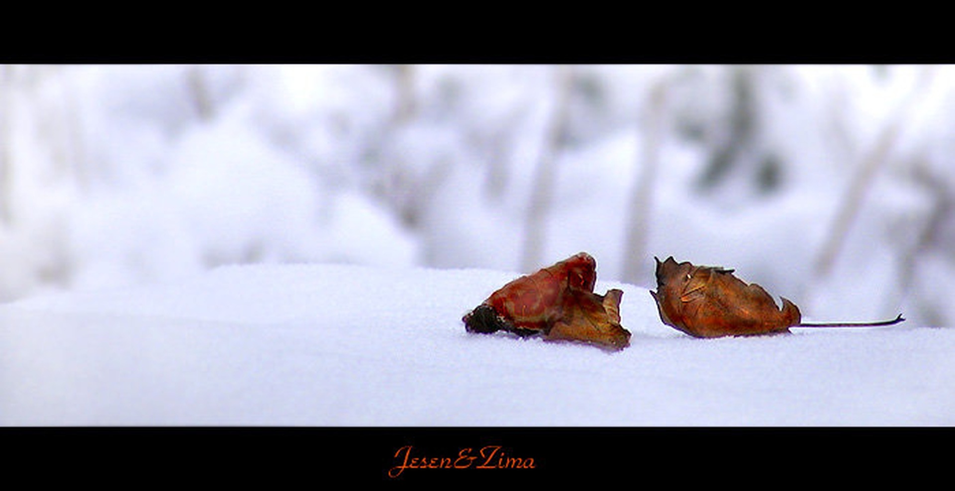 Jesen&Zima by