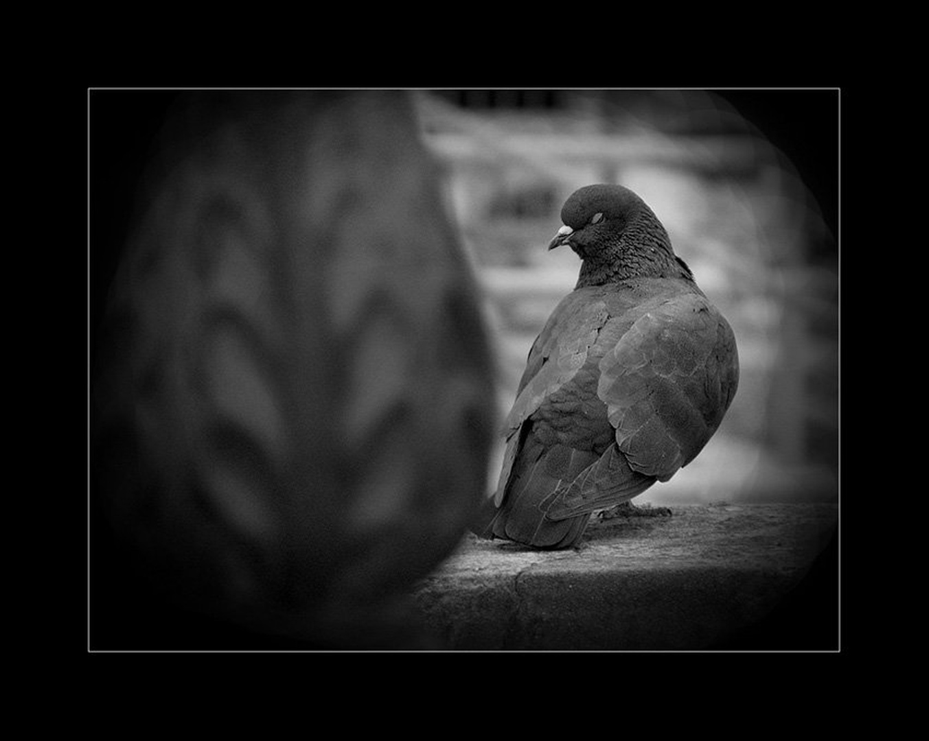 Zzzzzzzz....... by
