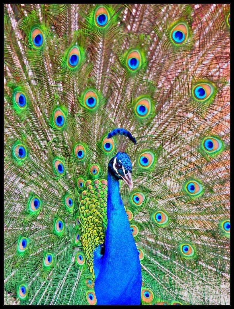 ...ponos barv.... by Andreja Val