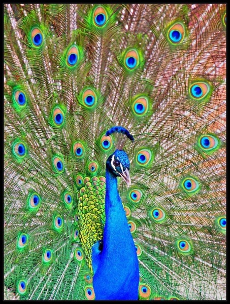 ...ponos barv.... by Andreja Val