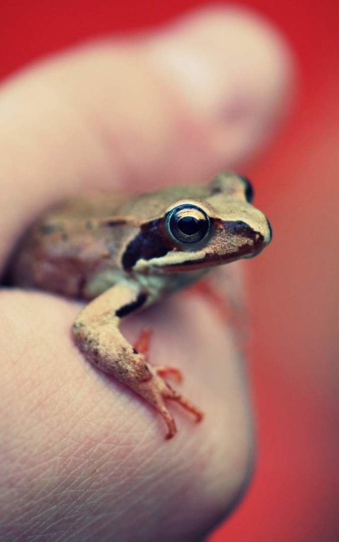 So Small, And So Beautiful by Urša