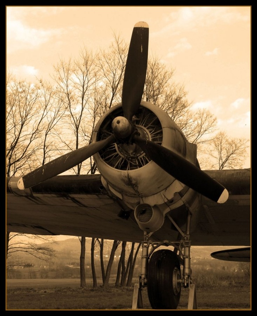Plane engine by Uroš Brinc