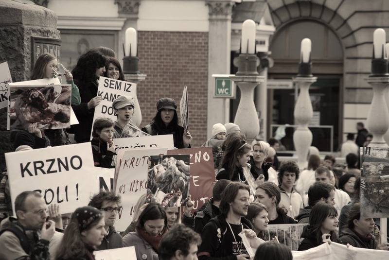 Protest proti krznu by LM