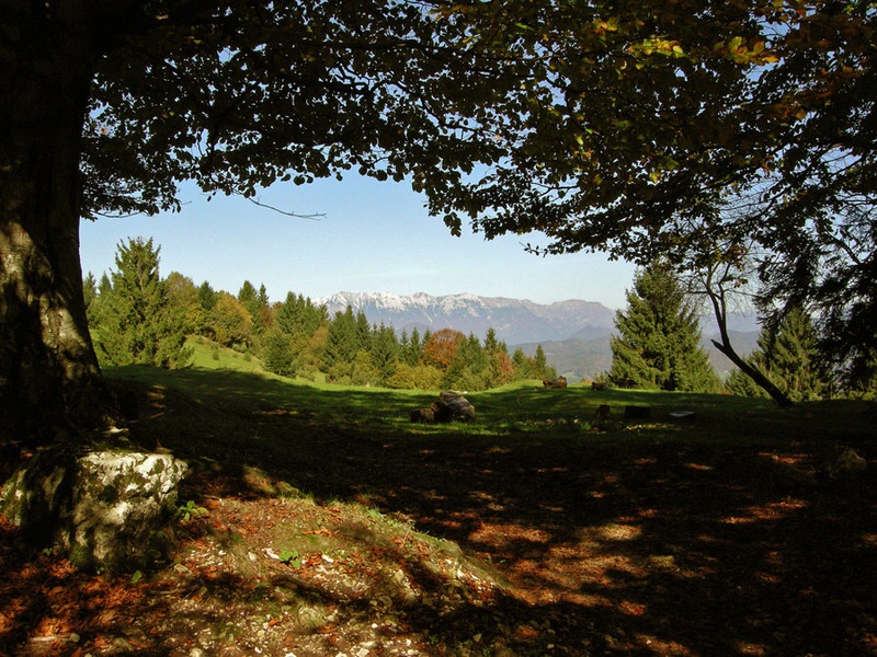Čeppovanske Vrše by Bojan Marušič