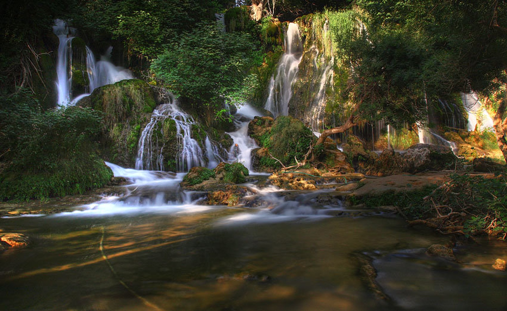 Kravice II by Mario Glavaš