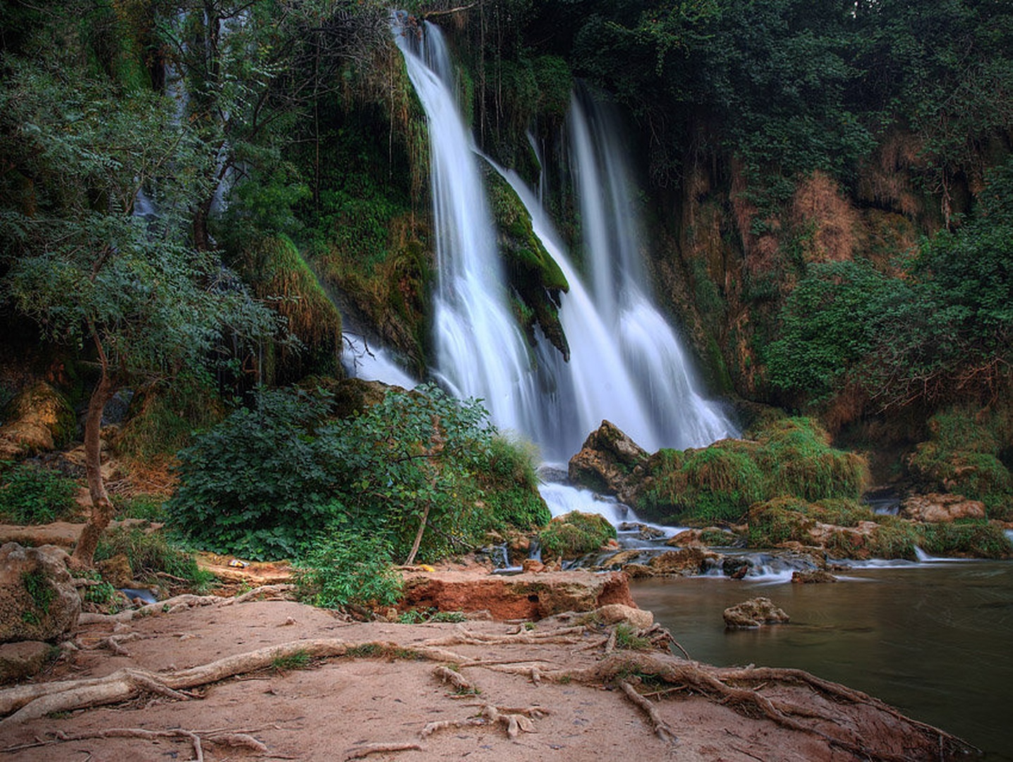 Kravice III by Mario Glavaš