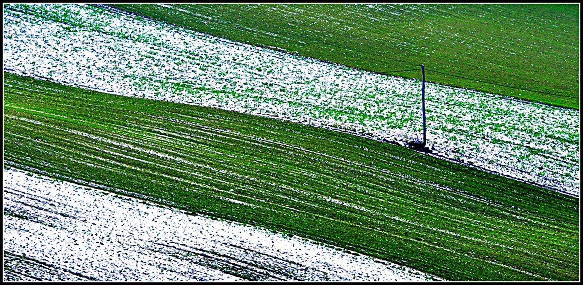 green&white by Andrej Gubič