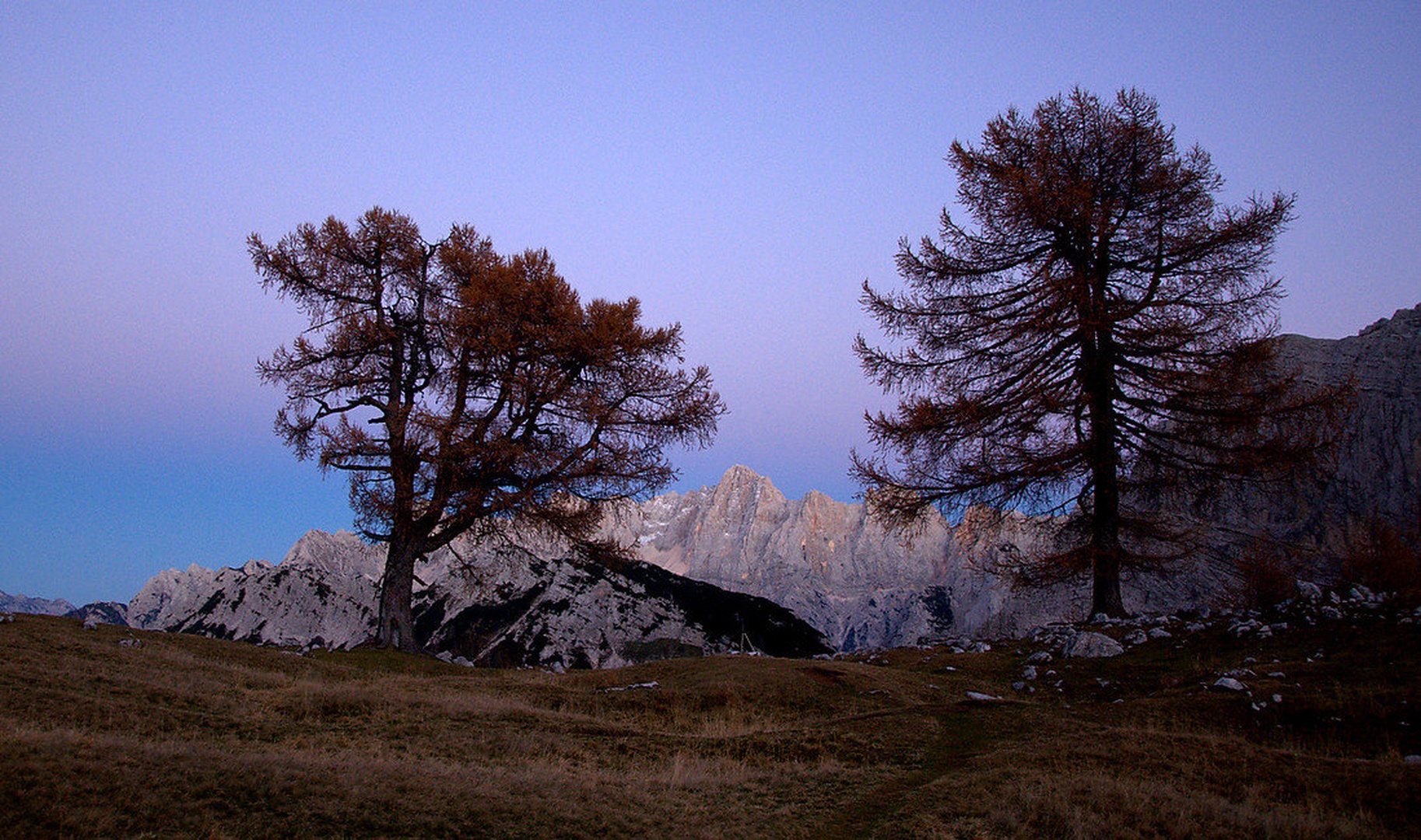 Večerna slemenitev I. by Andrej Gubič