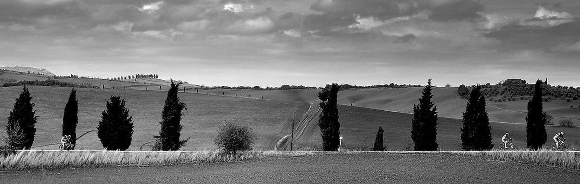 fields of joy3 by Andrej Gubič