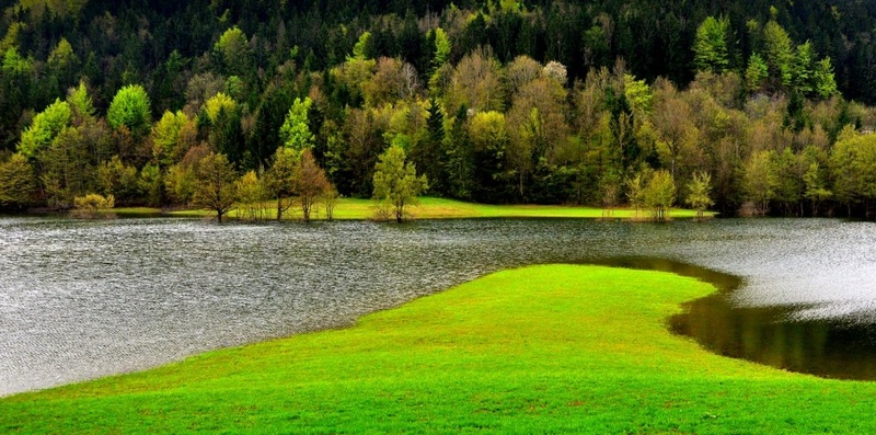 Water Field of Green by Andrej Gubič