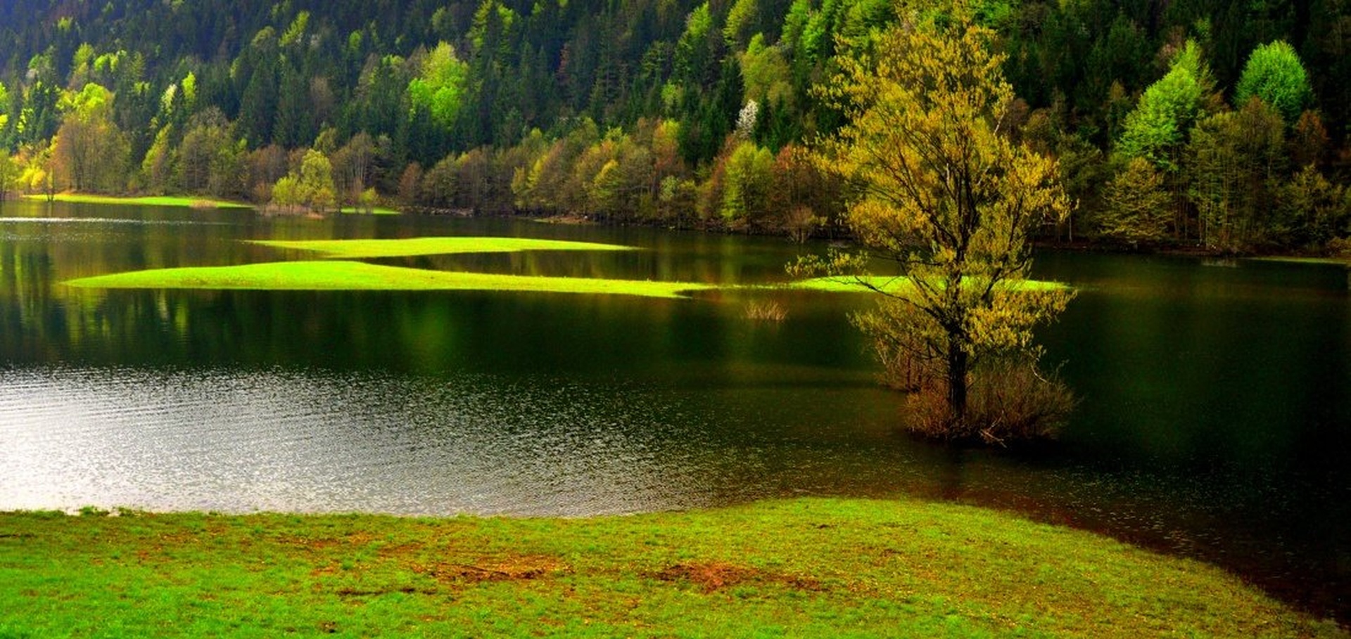 Water Field of Green I. by Andrej Gubič