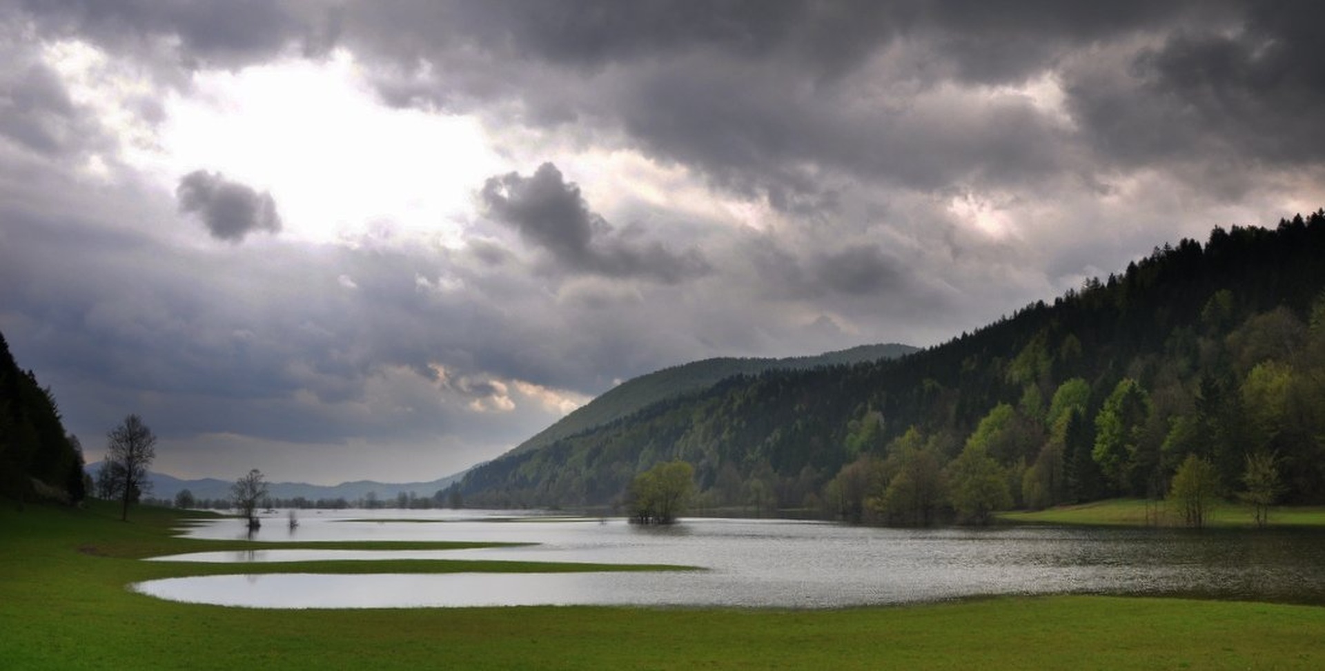 Water Field of Green II. by Andrej Gubič
