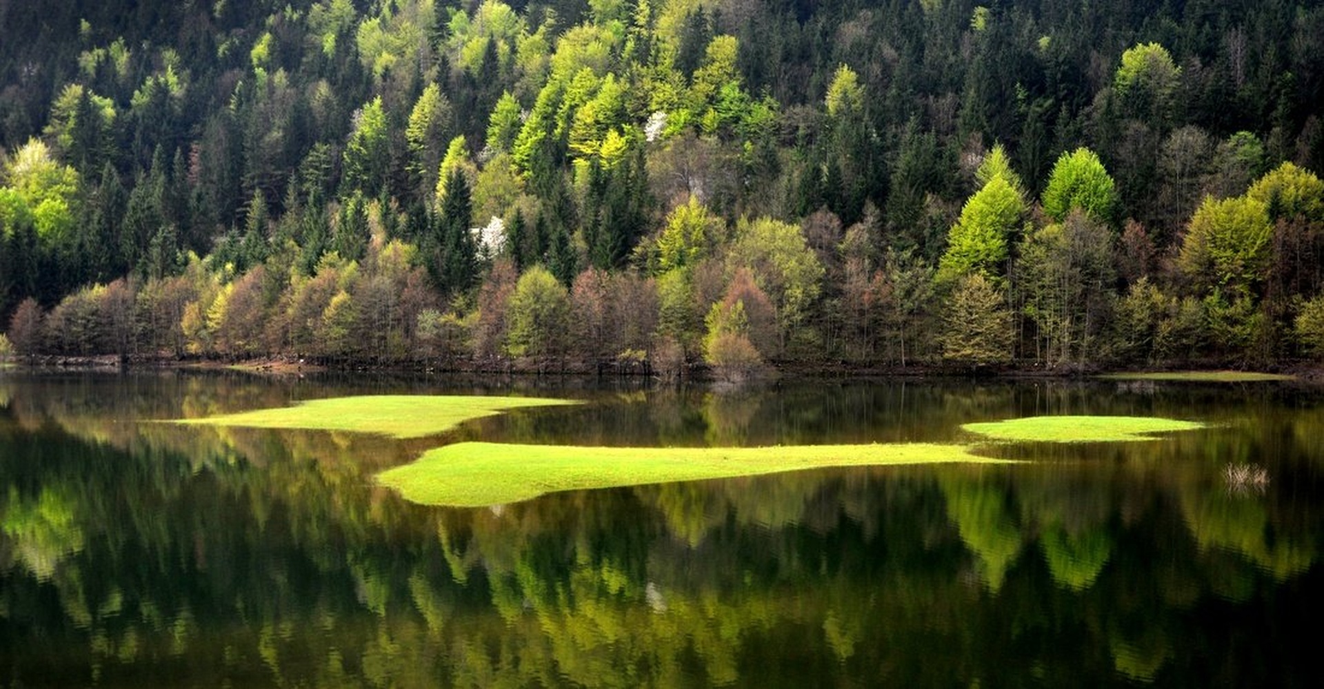 Water Field of Green IV. by Andrej Gubič
