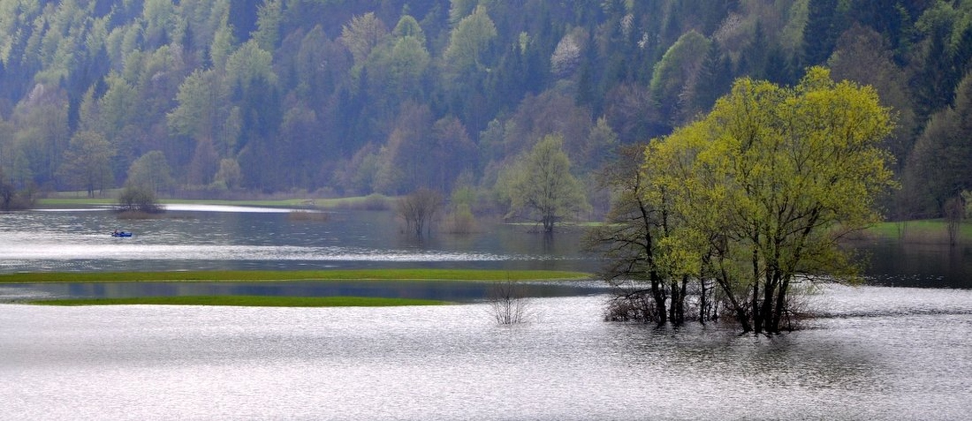 Water Field of Green V. by Andrej Gubič
