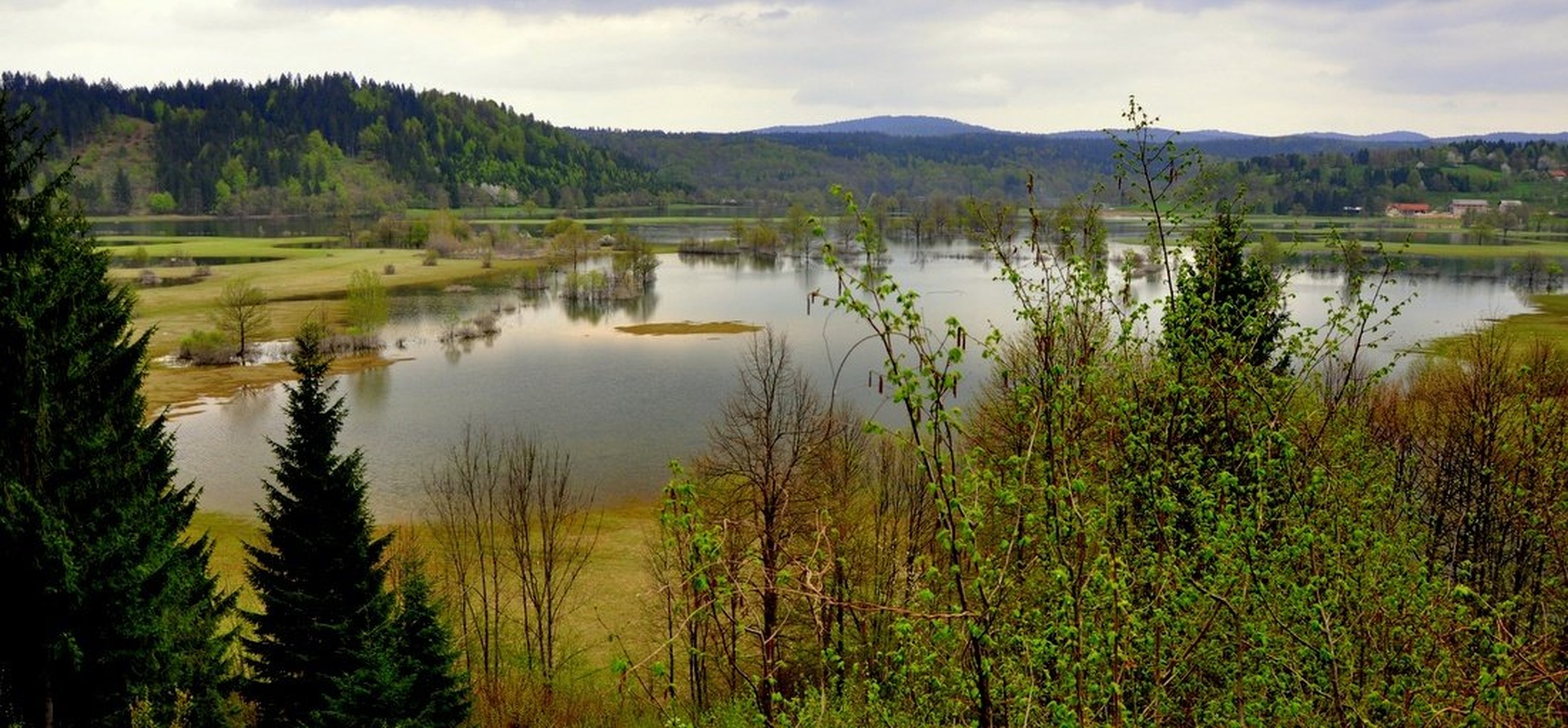 Water Field of Green VI. by Andrej Gubič
