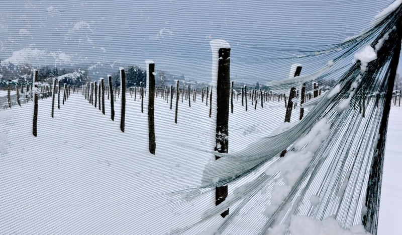 winter nostalgy by Andrej Gubič