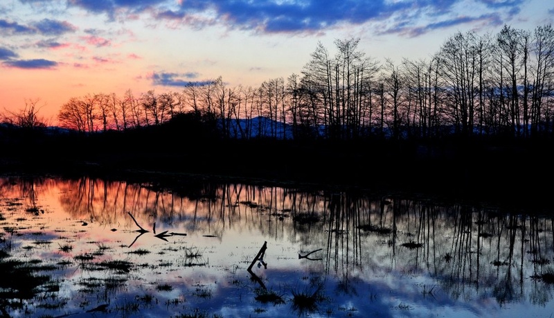 Stara struga Ljubljanice by Andrej Gubič
