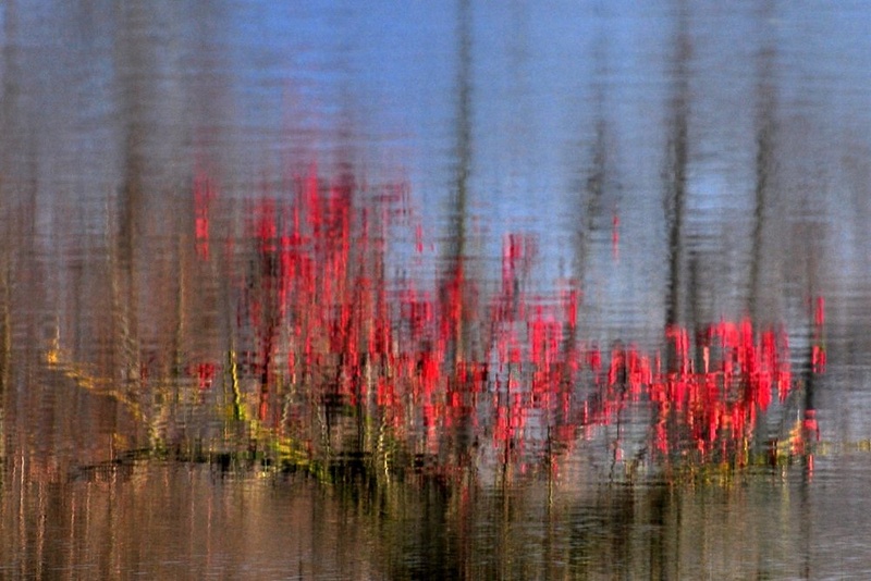 haiku2 by Andrej Gubič