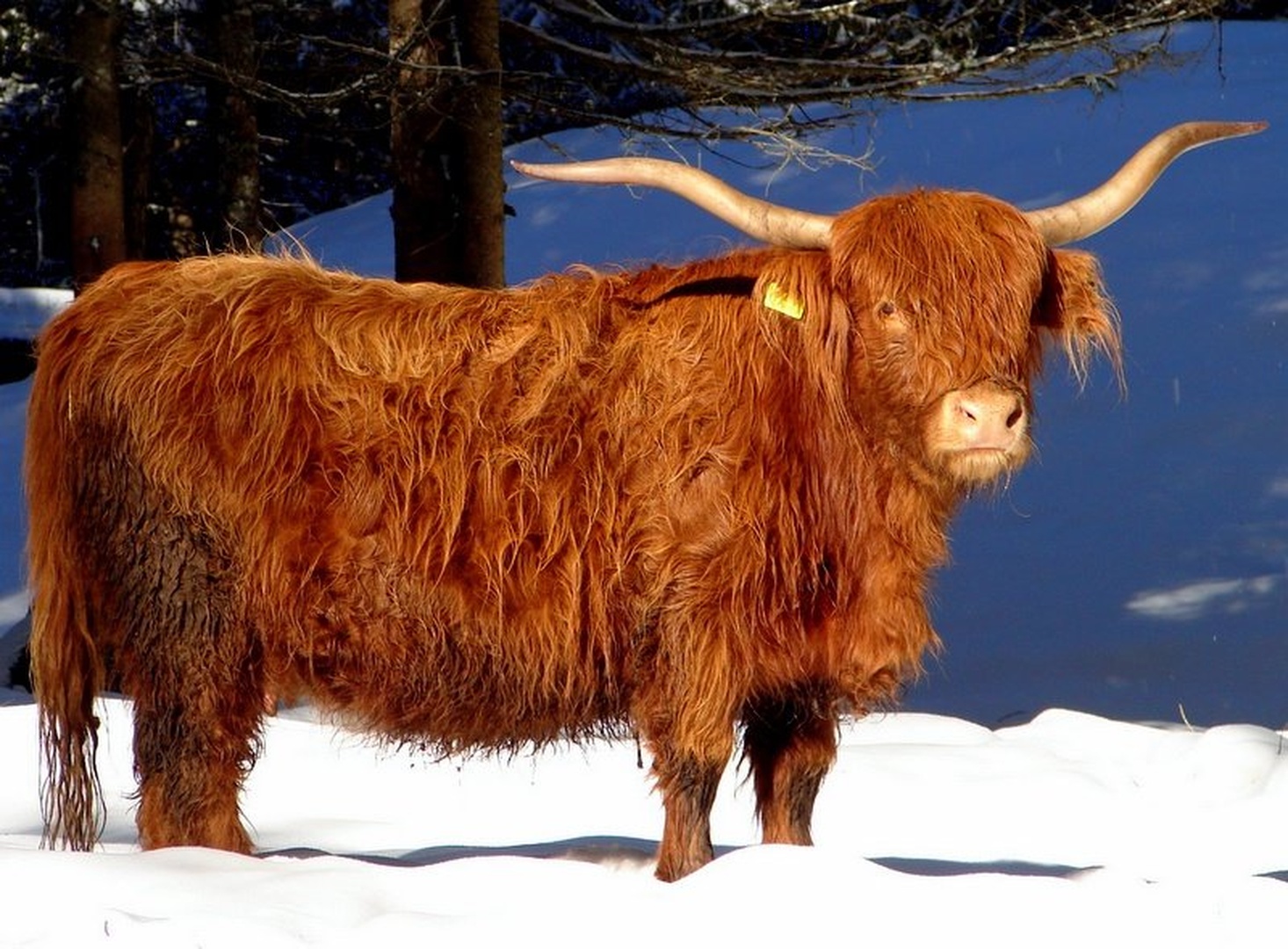 mmuuuu by Andrej Gubič